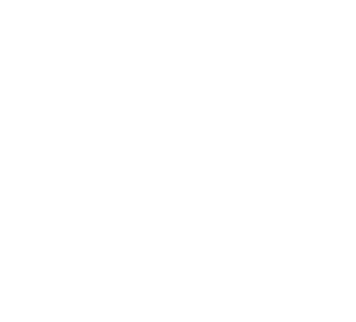 videos icon