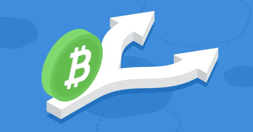 هارد فورک بیت کوین کش