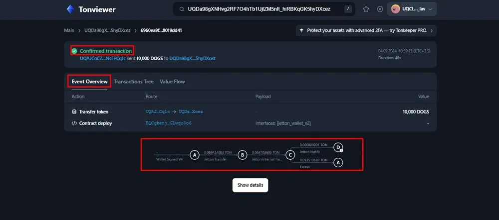 بررسی جزئیات تراکنش‌ها در Tonviewer