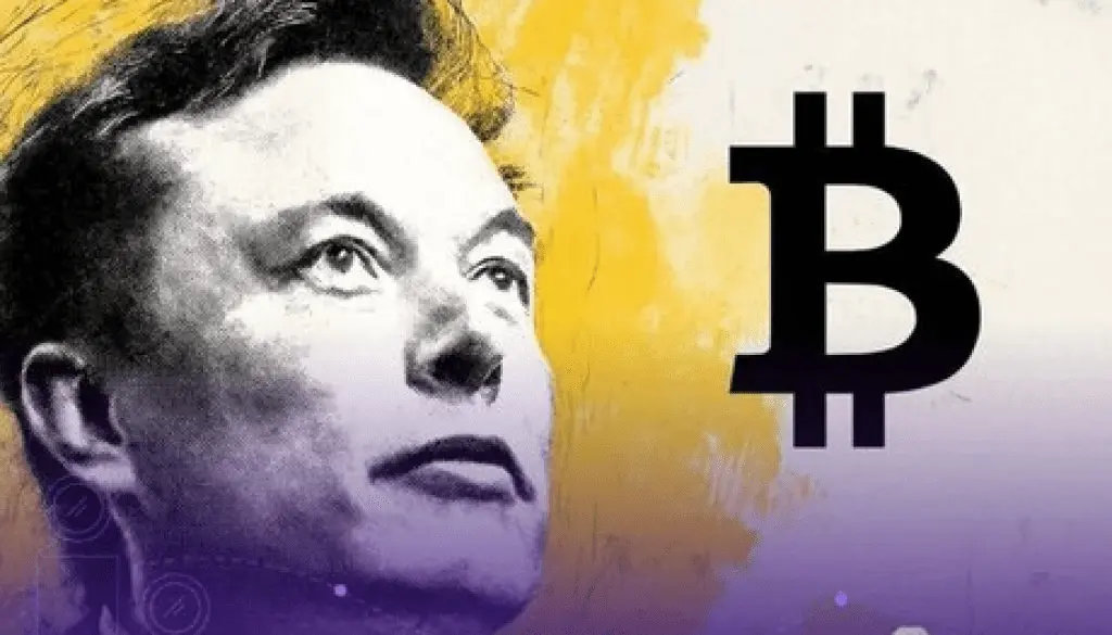 ایلان ماسک و ارزهای دیجیتال