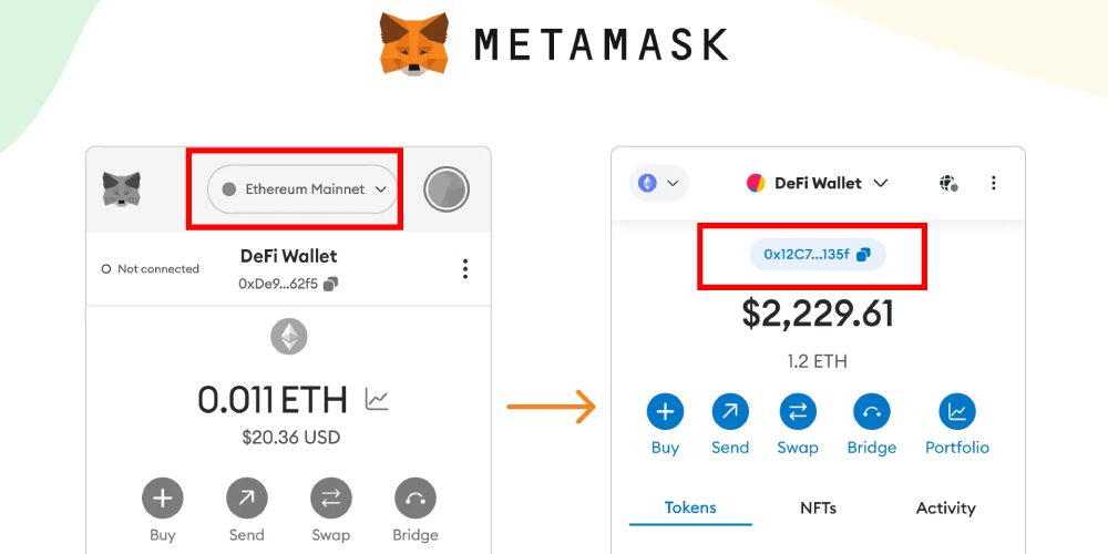 برداشت ارز دیجیتال از نوبیتکس