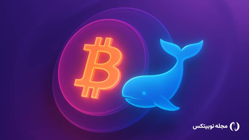 یک نهنگ ۸۰,۰۰۰ بیت کوین را فروخت؛ ۹ میلیارد دلار نقد شد!
