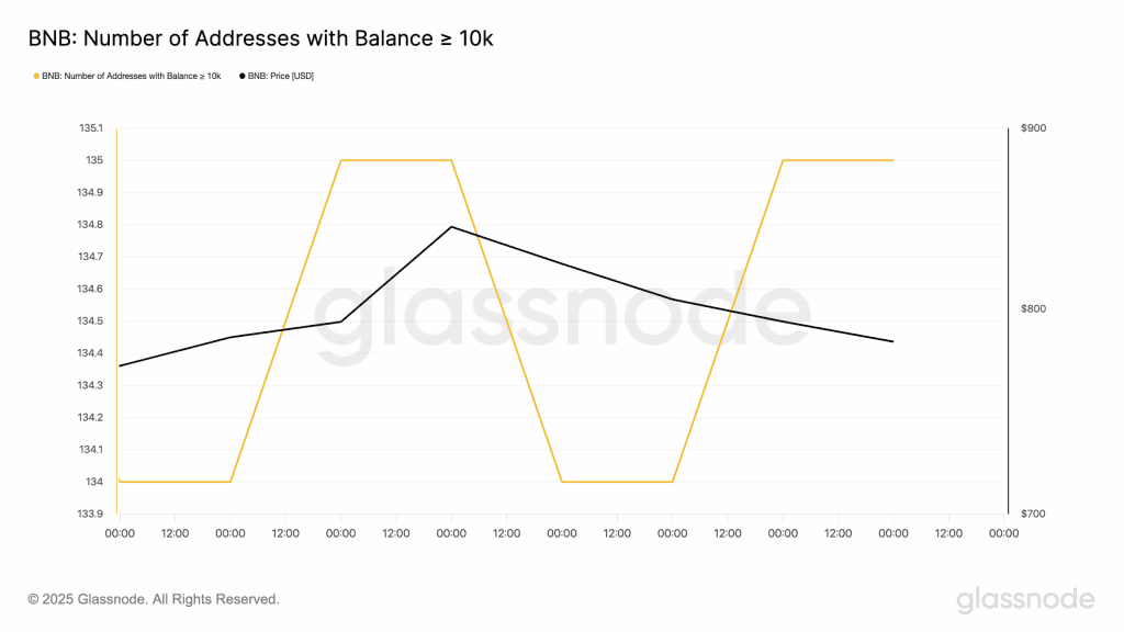 انباشت بایننس کوین توسط نهنگ‌ها آلت کوین