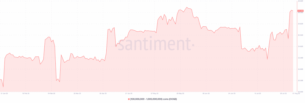 انباشت دوج کوین توسط نهنگ‌ها