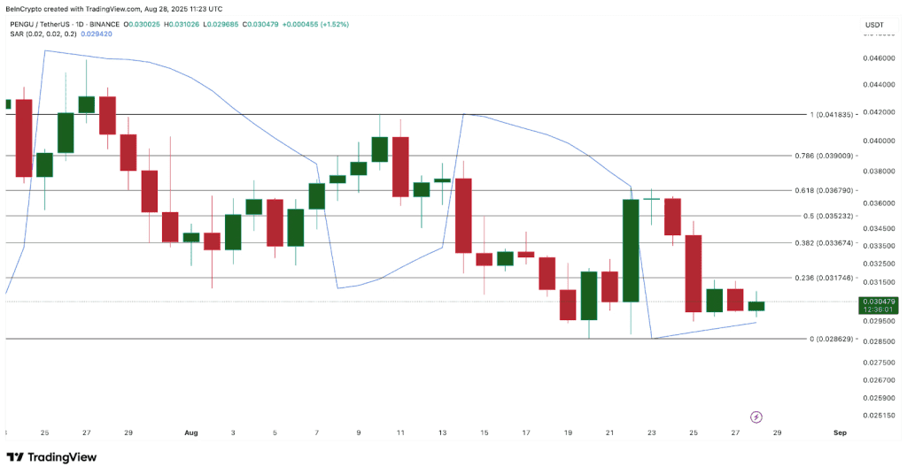 عملکرد قیمتی پاجی پنگوئن