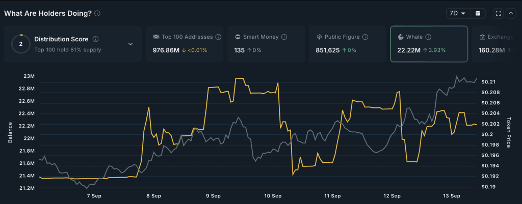 انباشت ملانیا توسط نهنگ‌ها آلت کوین