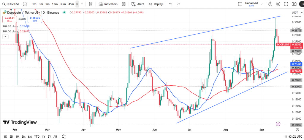 نمودار یک روزه قیمت دوج کوین آلت کوین