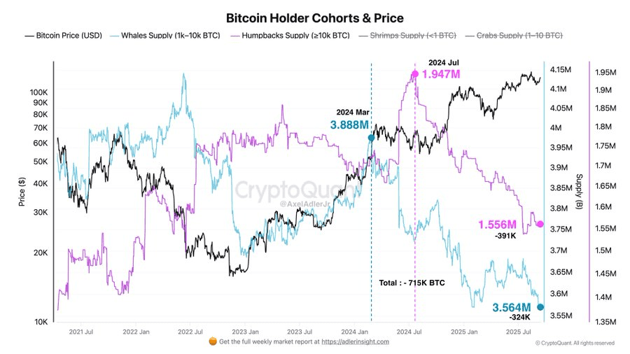 گروههای هولدر بیت کوین و قیمت آن