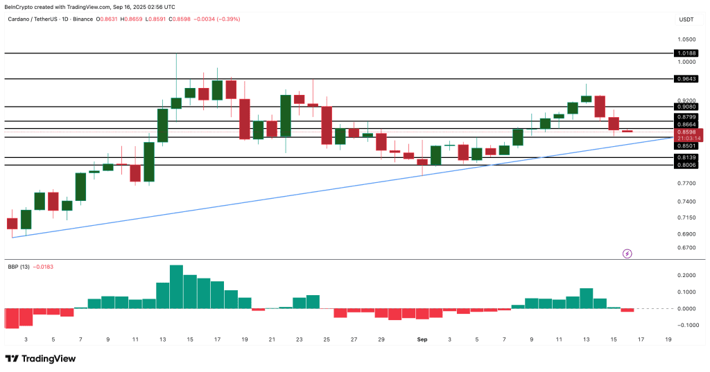 نمودار قیمت کاردانو
