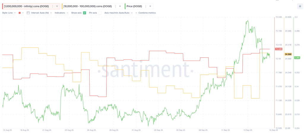 فعالیت نهنگ‌های دوج کوین