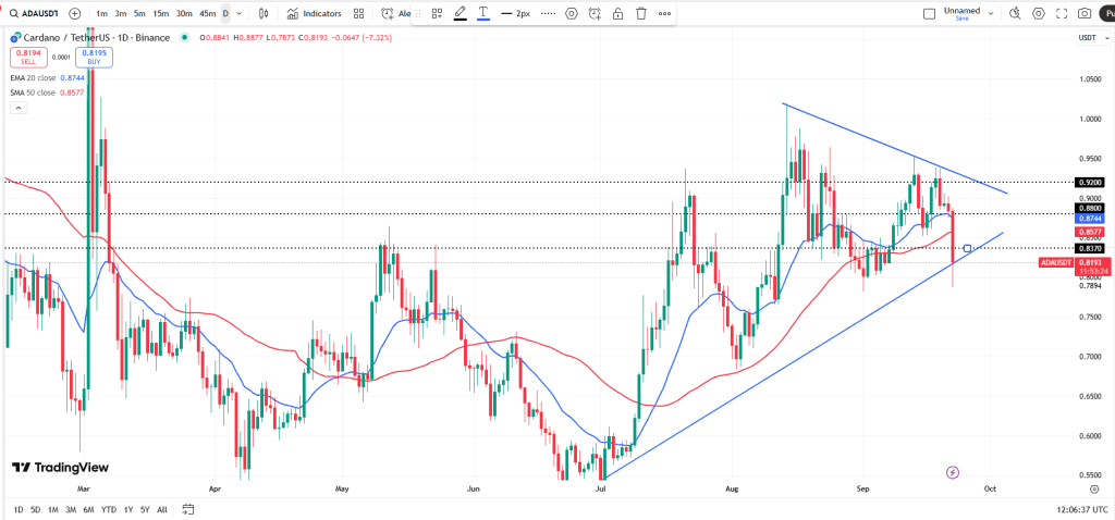 نمودار قیمت کاردانو