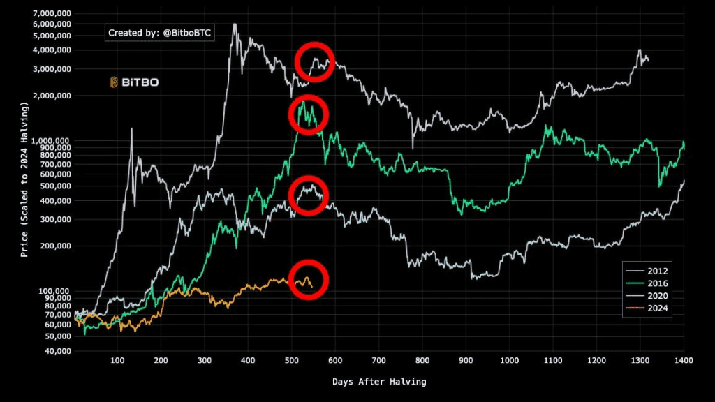 چرخههای مختلف بیت کوین