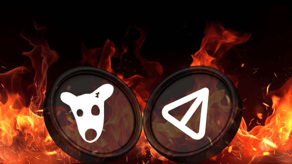 داگز برای سرمایه گذاری بهتر است یا نات کوین