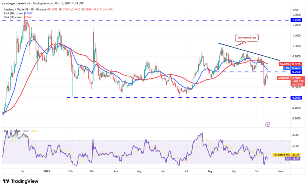 نمودار یک روزه قیمت کاردانو