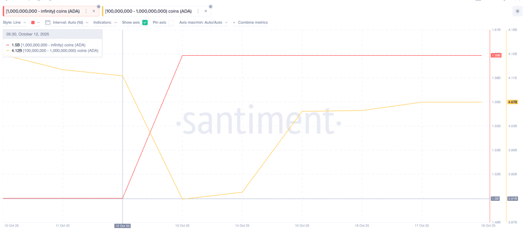 انباشت کاردانو توسط نهنگها آلت کوین