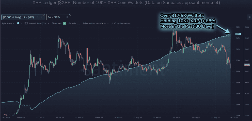 شمار نهنگ‌های XRP Ledger