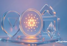 حمله به کاردانو در یک روز مهار شد؛ هاسکینسون واکنش سریع شبکه را تحسین می‌کند