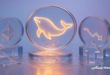 altcoins crypto whales buying for bear market