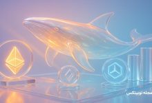 altcoins whales are buying after november crypto crash