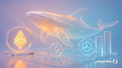 altcoins whales are buying after november crypto crash