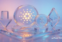 cardano holders loses 6 million from stablecoin swap