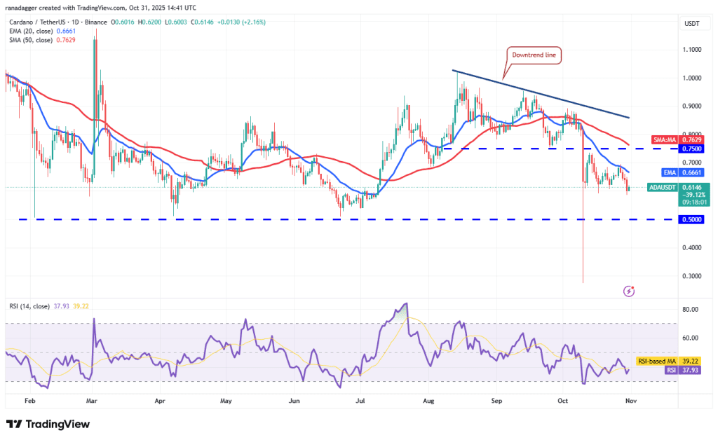 نمودار یک روزه قیمت کاردانو