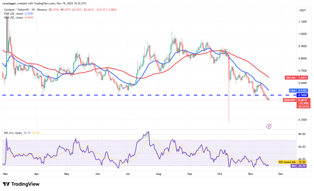 نمودار یک روزه قیمت کاردانو