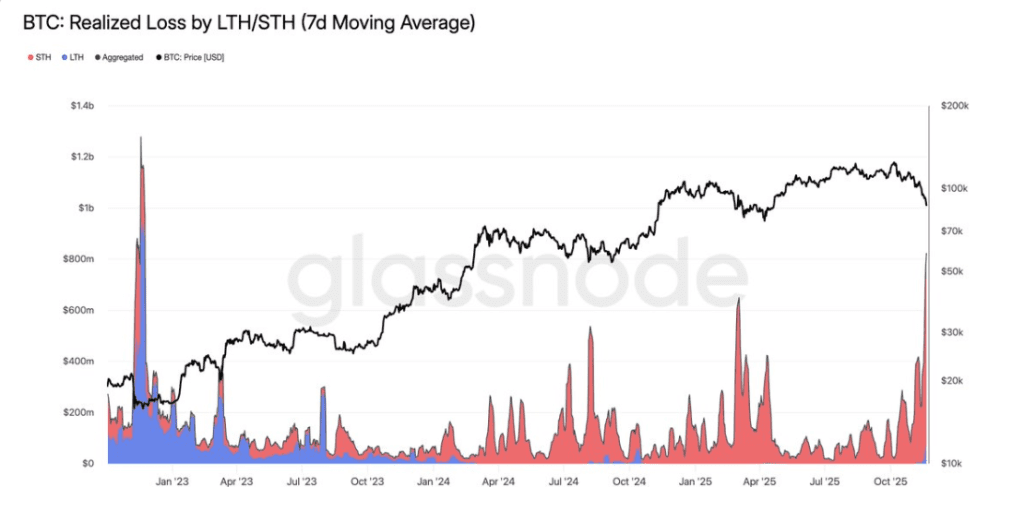 ضرر هولدرها