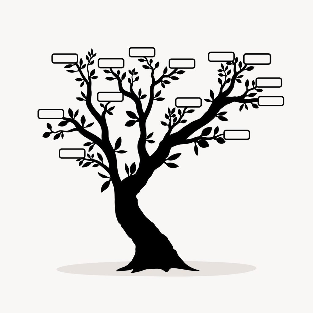 درخت پاتریشیا