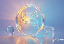 ارز پاپ کت چیست