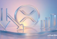 xrp investor decline long term holders losses