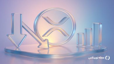 xrp investor decline long term holders losses