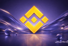 درآمد بایننس چقدر است