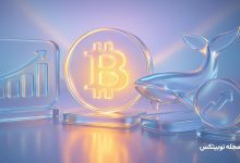 crypto whales december dip top buys