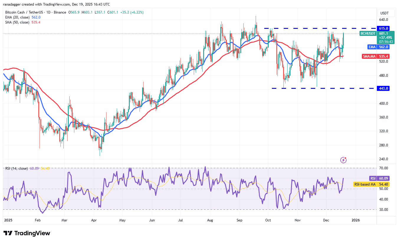 نمودار یک روزه قیمت بیت کوین کش