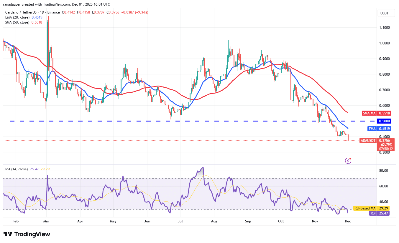 نمودار یک روزه قیمت کاردانو