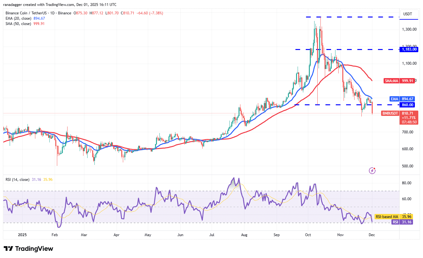 نمودار یک روزه قیمت بایننس کوین BNB