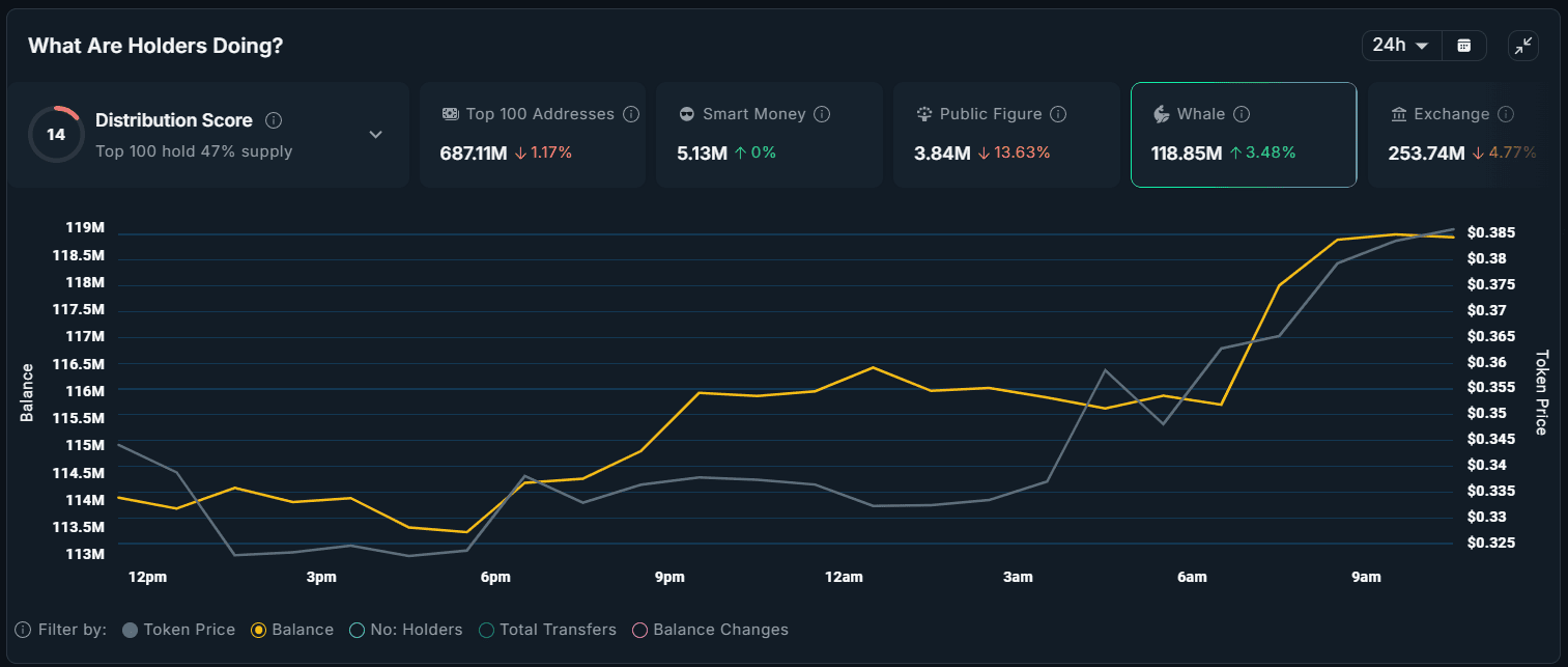 ذخایر نهنگ FARTCOIN
