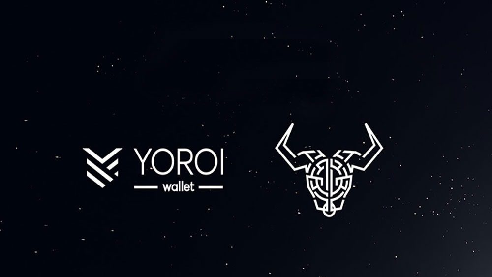 مقایسه کیف پول یورویی و ددالوس