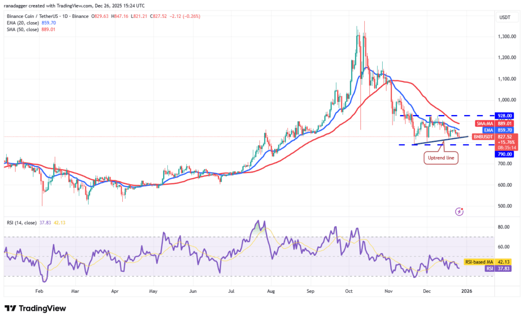 نمودار یک روزه قیمت بایننس کوین