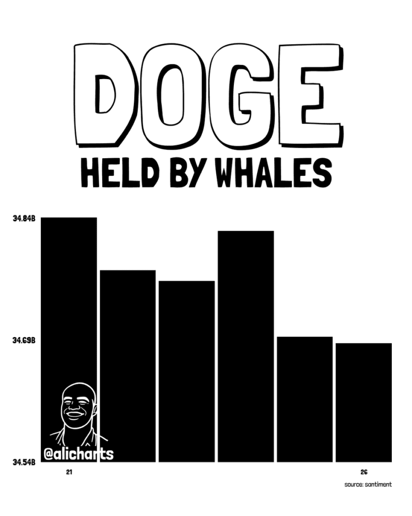 مقدار DOGE هولد شده توسط نهنگها