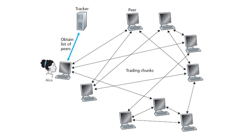 ساختار فنی بیت تورنت