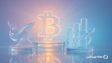 what crypto whales are buying as the market recovers