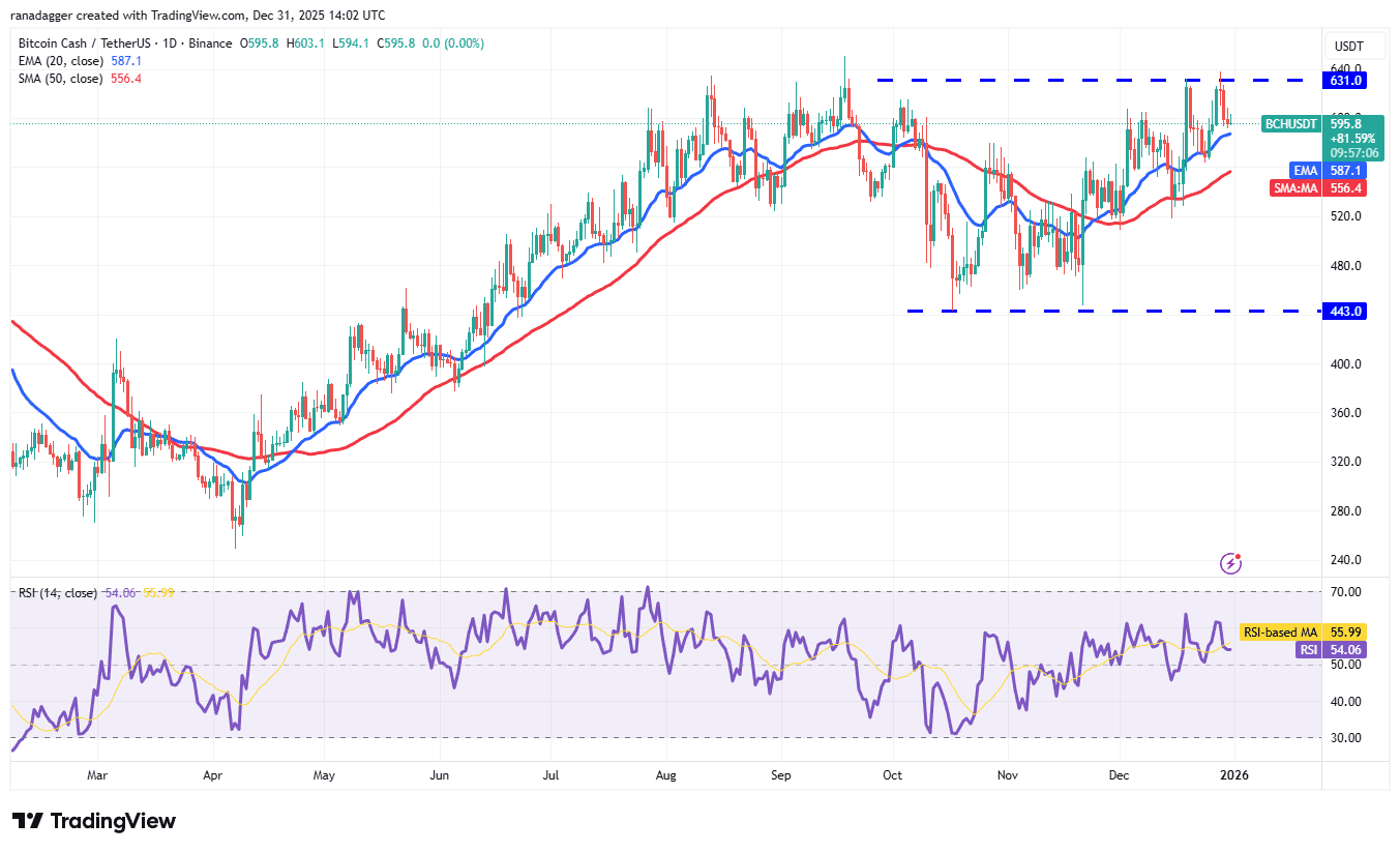 نمودار روزانه BCH/USDT بیت کوین کش