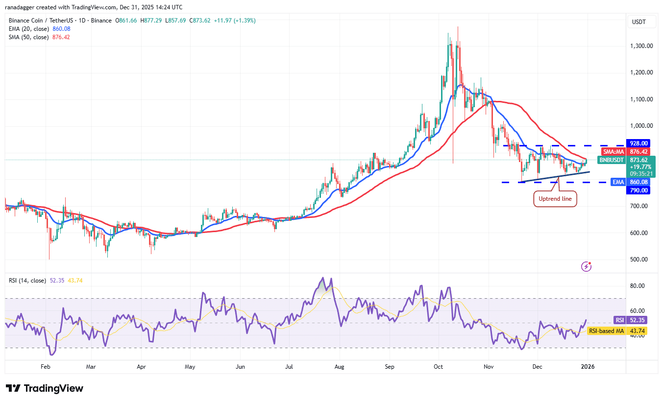 نمودار روزانه BNB/USDT