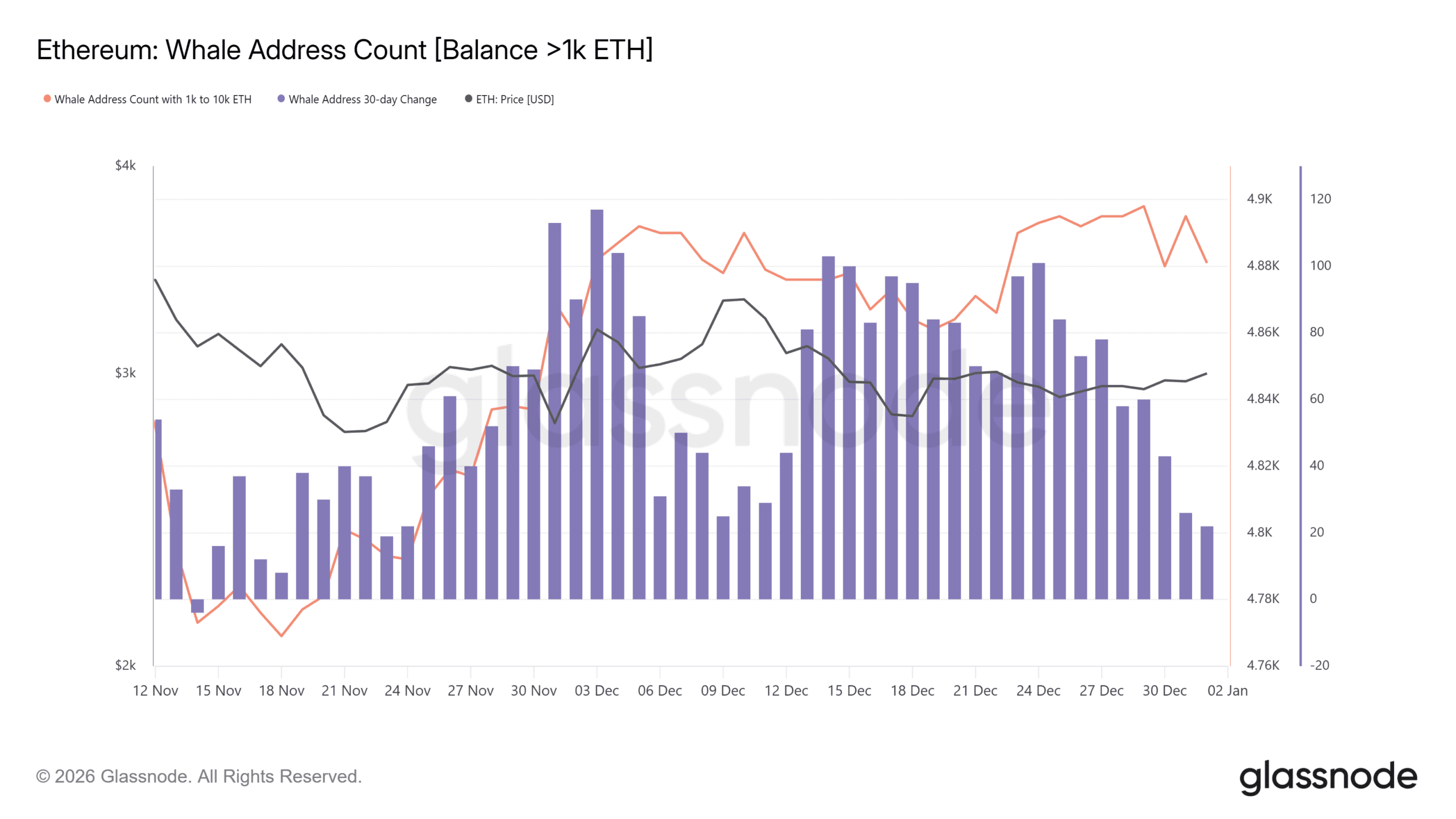 Ethereum Whale Address Count