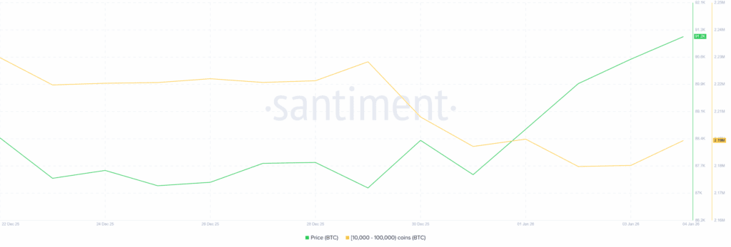 میزان هولد نهنگهای بیت کوین
