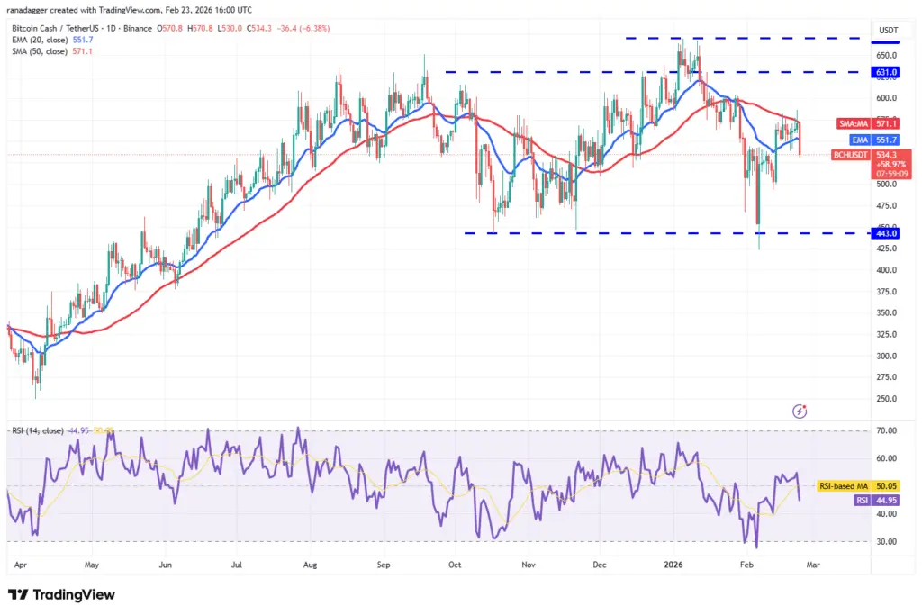 نمودار یک روزه قیمت بیت کوین کش