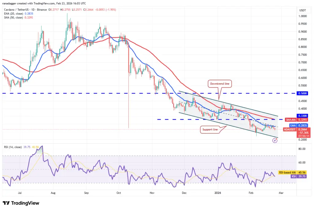 نمودار یک روزه قیمت کاردانو