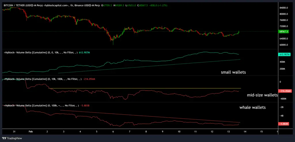 دادههای CVD بیت کوین در اندازههای مختلف کیف پول